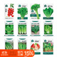 北蔬 蔬菜種子苗生菜菠菜小香蔥芹菜陽(yáng)臺四季菜種籽 12種蔬菜種子套餐