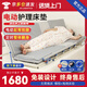 立道電動護(hù)理床墊家用起床輔助器老年人自動起身臥床升降起背器病人用 可定時整體翻身款-椰棕+海棉床墊+起背抬腿 Y8