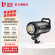 金貝（JINBEI）DPX600II專業(yè)攝影燈600W影室閃光燈補光燈人像模特婚紗影樓床品家具證件照拍照影棚影樓服裝人像 DPX-600II影室閃光燈 單燈頭（600W）