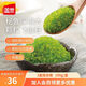 蓋世（Gaishi） 清新芥末飛魚子100g/盒即食日料壽司食材秘魯大顆粒飛魚籽 芥末飛魚籽100g*3盒