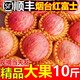夢(mèng)茜兒陜西紅富士蘋(píng)果 新鮮9斤水果脆甜秦冠丑蘋(píng)果小冰糖心特產(chǎn)整箱批發(fā) 2.8-3斤 大果 75mm+(6-8個(gè)) 產(chǎn)地直發(fā) 新鮮現(xiàn)摘【卡槽+網(wǎng)套包