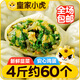皇家小虎 韭菜雞蛋薄皮包子4斤/約60個(gè) 早餐半成品小籠包早點(diǎn) 源頭直發(fā)