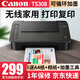 佳能（Canon） TS308彩色照片噴墨打印機(jī)復(fù)印機(jī)無線家用辦公打印機(jī)學(xué)生手機(jī) TS308【手機(jī)電腦無線連接+打印復(fù)印】 官方標(biāo)配【套餐可加墨】