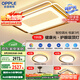歐普（OPPLE）吸頂燈客廳大燈護(hù)眼智能LED照明燈具燈飾簡(jiǎn)約現(xiàn)代大氣套餐1包安裝