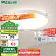 雷士（NVC）陽臺燈臥室吸頂燈書房現(xiàn)代簡約防蚊蟲led照明包安裝24瓦暖白光