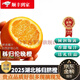 秭歸臍橙春橙倫晚臍橙臍橙新鮮當(dāng)季整箱現(xiàn)摘現(xiàn)發(fā) 5斤嘗鮮裝中果【15-17個(gè)】彩箱 順豐到家