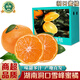 南步湖南洞口縣雪峰蜜桔 無(wú)核薄皮邵陽(yáng)特產(chǎn)雪峰山宮川蜜橘子新鮮水果 5斤 精選小果