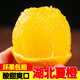 柏果相依秭歸湖北夏橙 當(dāng)季手剝酸甜橙子新鮮水果高山血多汁冰糖臍  可選 5斤 60-65mm(推薦)