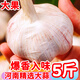 河南大蒜5斤蒜頭干大蒜2025年新蒜大蒜頭獨頭蒜紫皮農(nóng)家新鮮蔬菜 3斤 中果