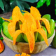 張小壯廣西金煌芒 芒果 現(xiàn)摘青皮黃皮芒果當(dāng)季熱帶整箱新鮮水果 精品大果8.5-9斤單果約450g