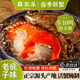 嗆蟹舟山紅膏蟹梭子蟹醬母蟹寧波熗蟹咸蟹生腌螃蟹海鮮醉蟹即食 單只凈重6-8兩【2只 熱賣款】