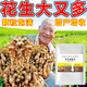 花生矮多收花生高產(chǎn)葉面肥控旺膨大花生超生婆抗病防早衰保花保果 5包【花生窩窩豐】