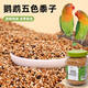 茨格曼鸚鵡飼料五色黍子帶殼谷子鳥食玄鳳虎皮牡丹八哥混合鸚鵡糧400ml