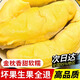泰國進(jìn)口金枕榴蓮金枕頭新鮮老樹(shù)優(yōu)果特別甜鮮果孕婦零食 泰國進(jìn)口金枕【凈重2斤】
