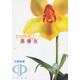 【中圖音像】百花齊放 張學(xué)友 精選4CD 9828772  環(huán)球