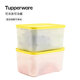 特百惠（Tupperware）新冷凍保鮮盒2.5升雪影款冷藏冷凍兩用大型保鮮盒 2.5升雪影冷凍2件套黃色