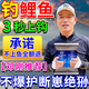 魚宴鄧剛推薦鯉魚專用餌料戶外水庫釣鯉魚四季可用鯉魚窩料釣魚誘食劑 一袋裝【經(jīng)典款】