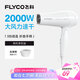 飛科（FLYCO）電吹風(fēng)機(jī)家用發(fā)廊大功率2000W速干恒溫便攜可折疊白色FH6232