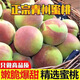 青州蜜桃硬桃脆桃毛桃脆甜桃子新鮮脆桃新鮮水果硬脆桃蜜桃水蜜桃 青州蜜桃（帶箱一斤）