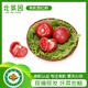 北菜園有機西紅柿番茄約350g有機新鮮蔬菜【進店多樣加購】沙瓤多汁番茄