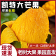騎猴趕馬正宗四川凱特芒當(dāng)季新鮮水果現(xiàn)摘大芒果整箱送禮攀枝花凱特芒果 凈重4.5斤【單果300-400g】嘗鮮裝 團(tuán)購(gòu)/售后詳詢客服