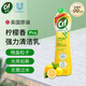 晶杰（CIF）進口強力清潔乳殺菌多功能清潔劑廚房油煙機去重油污不銹鋼清潔膏 檸檬香Pro款【500ml】