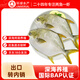 環(huán)球水產冷凍南海金鯧魚2斤/2條 生鮮魚類 火鍋 深海魚 海鮮水產 家庭聚餐