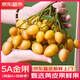 優(yōu)味集【順豐JD速發(fā)】廣東雞心黃皮果新鮮水果整串帶枝孕婦酸甜鮮果整箱 商超級金果 500g凈重裝（鮮采帶枝）-順豐