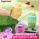 特百惠（Tupperware）吸吸罐550ml女生學生密封帶吸管水杯子七夕情人節(jié)禮物 奶黃色