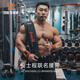 ZERO TO HERO5593金士程聯(lián)名腰帶深蹲硬拉力量舉訓練護腰帶健身男女舉重S