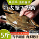 舟山梭子蟹鮮活特大野生大螃蟹新鮮冷凍海鮮水產(chǎn)海蟹飛蟹白蟹順豐 7-9兩/只【5斤凈重 特大肥壯】