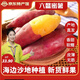 龍九恒豐【特產(chǎn)館】六鰲地瓜紅心番薯紅薯沙地新鮮輕食現挖小番薯福建特產(chǎn) 9斤中大果【中大果更甜】 箱