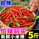 云南小米辣5斤新鮮小米椒朝天椒紅指天椒特辣五七彩辣椒蔬菜批發(fā) 5斤 【不辣包賠】
