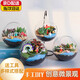 iosn微景觀生態(tài)瓶多肉植物diy材料玻璃盆栽手工綠植盆栽苔蘚創(chuàng)意裝飾 10cm斜口瓶多肉龍貓