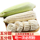 滇味十足云南燕窩雪糯玉米 明星推薦甜玉米糯玉米鮮食玉米 甜糯同粒玉米 【燕窩雪糯】3斤