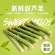 表鮮人【順豐】新鮮甜桿現(xiàn)砍甜蘆粟甜桿甜高粱桿小甘蔗新鮮當(dāng)季5斤包郵R 1斤【帶箱試吃】