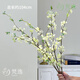 梵逸雪柳仿真花擺件假花裝飾花束塑料花卉客廳高端餐桌花擺花高檔干花 小雪柳-5支