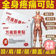 萬痛筋骨貼遠(yuǎn)紅外筋骨萬痛貼安徽 頸椎病關(guān)節(jié)膝蓋腰腿部適坐骨痛 【萬痛筋骨貼1盒50貼】