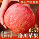 洛川蘋果陜西延安紅富士時(shí)令蘋果水果禮盒裝糖心蘋果生鮮脆甜整箱好吃新鮮 10斤鉑金果70-75mm（凈重8.5斤）