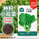 北蔬 小菘菜種子種苗青菜耐熱速生青梗菜雞毛菜種籽 小菘菜種子10g