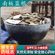 南板藍根500克g土板藍根涼茶 板藍根 中藥材