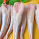 【刺少肉多】新鮮紅娘魚(yú)紅娘子魚(yú)去頭去皮去內臟紅頭魚(yú)海魚(yú)批發(fā) 3000g 【無(wú)冰凈重6斤】 【每斤8-10條】新鮮海捕凈重無(wú)冰衣