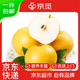 京覓山東冰糖豐水梨 新玉蜜梨 單果400g+ 凈重8斤 源頭直發(fā)包郵