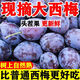 【頭茬-嘗鮮】正宗陜西現(xiàn)摘西梅 新鮮水果應(yīng)當(dāng)季鮮果新貨速發(fā)整箱 3斤帶箱(凈重2.5斤) 精選裝