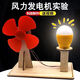 玩小匠手搖發(fā)電機玩具兒童科學(xué)實(shí)驗材料diy手工自制發(fā)電科技小制作套裝 風(fēng)力發(fā)電機自制材料包