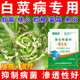 白菜病菌清專用藥大白菜防爛心爛根軟腐病白粉病毒病霜霉病專用肥 【8袋裝】高抗提質(zhì) 增加抗性