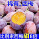 【精選優(yōu)品】陜西現(xiàn)摘鮮果西梅 新鮮時令爆甜多汁水果整箱現(xiàn)發(fā) 5斤 凈重4.5斤 精品裝