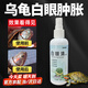 烏龜白眼病藥專(zhuān)用白眼清眼藥水巴西龜眼睛腫睜不開(kāi)紅腫眼泡發(fā)炎 龜鱉白眼清特效 1瓶100ml