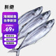 鮮馳 新鮮鲅魚(yú) 馬鮫魚(yú)特大鮮活海捕冷凍海鮮水產(chǎn)魚(yú)類(lèi)海魚(yú)青島大鲅魚(yú) 新鮮大號鲅魚(yú)5斤凈重（6-8條）