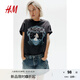 H&M女裝T恤2025夏季新款?lèi)?ài)麗絲美式圓領(lǐng)大廓形印花短袖上衣1260635 深灰色/愛(ài)麗絲夢(mèng)游仙境 M 165/96